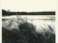 Jezioro 49,5x38 (1982)